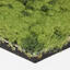 Suchen Sie nach Interface Teppichfliesen? Urban Retreat 103 in der Farbe Grass ist eine ausgezeichnete Wahl. Sehen Sie sich diese und andere Teppichfliesen in unserem Webshop an.