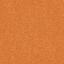 Suchen Sie nach Interface Teppichfliesen? Touch & Tones 102 in der Farbe Orange ist eine ausgezeichnete Wahl. Sehen Sie sich diese und andere Teppichfliesen in unserem Webshop an.