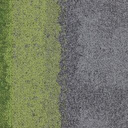 Suchen Sie nach Interface Teppichfliesen? Composure Edge in der Farbe Olive/Seclusion ist eine ausgezeichnete Wahl. Sehen Sie sich diese und andere Teppichfliesen in unserem Webshop an.