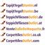 Suchen Sie nach Interface Teppichfliesen? Collect in der Farbe Sooth ist eine ausgezeichnete Wahl. Sehen Sie sich diese und andere Teppichfliesen in unserem Webshop an.