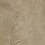 Suchen Sie nach Interface Teppichfliesen? Textured Woodgrains Planks (Vinyl) in der Farbe Antique Light Oak ist eine ausgezeichnete Wahl. Sehen Sie sich diese und andere Teppichfliesen in unserem Webshop an.