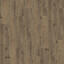Suchen Sie nach Interface Teppichfliesen? LVT Textured Woodgrains Planks (Vinyl) in der Farbe Antique Maple ist eine ausgezeichnete Wahl. Sehen Sie sich diese und andere Teppichfliesen in unserem Webshop an.