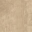 Suchen Sie nach Interface Teppichfliesen? LVT Textured Woodgrains Planks (Vinyl) in der Farbe Rustic Cashew ist eine ausgezeichnete Wahl. Sehen Sie sich diese und andere Teppichfliesen in unserem Webshop an.