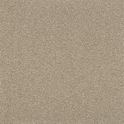 Suchen Sie nach Interface Teppichfliesen? Heuga 568 in der Farbe Camel ist eine ausgezeichnete Wahl. Sehen Sie sich diese und andere Teppichfliesen in unserem Webshop an.