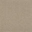 Suchen Sie nach Interface Teppichfliesen? Heuga 568 in der Farbe Camel ist eine ausgezeichnete Wahl. Sehen Sie sich diese und andere Teppichfliesen in unserem Webshop an.