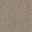 Suchen Sie nach Interface Teppichfliesen? Heuga 568 in der Farbe Camel ist eine ausgezeichnete Wahl. Sehen Sie sich diese und andere Teppichfliesen in unserem Webshop an.