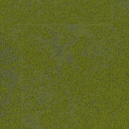 Suchen Sie nach Interface Teppichfliesen? Urban Retreat 103 CQuest™ BioX in der Farbe Grass ist eine ausgezeichnete Wahl. Sehen Sie sich diese und andere Teppichfliesen in unserem Webshop an.