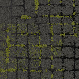 Suchen Sie nach Interface Teppichfliesen? Human Connection in der Farbe Moss in Stone Onyx edge ist eine ausgezeichnete Wahl. Sehen Sie sich diese und andere Teppichfliesen in unserem Webshop an.