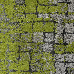 Suchen Sie nach Interface Teppichfliesen? Human Connection in der Farbe Moss Granite/Moss ist eine ausgezeichnete Wahl. Sehen Sie sich diese und andere Teppichfliesen in unserem Webshop an.