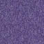 Suchen Sie nach Interface Teppichfliesen? Heuga 727 Sone in der Farbe Hot Purple ist eine ausgezeichnete Wahl. Sehen Sie sich diese und andere Teppichfliesen in unserem Webshop an.