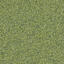 Suchen Sie nach Interface Teppichfliesen? Biosfera Boucle in der Farbe Smeraldo ist eine ausgezeichnete Wahl. Sehen Sie sich diese und andere Teppichfliesen in unserem Webshop an.